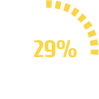 29 Percent@72x - Mobile Workforce Automation Solutions