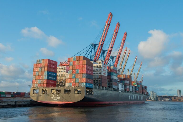 container ship 596083 1920 768x512 - Case Stories