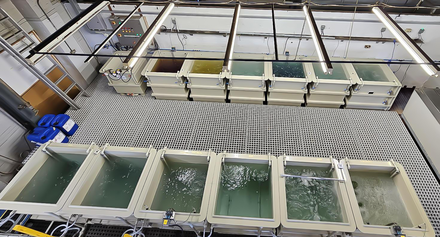 Media 75 - Captec Expands Surface Treatment Facility to Meet Highest BR 3939 Warpaint Standards