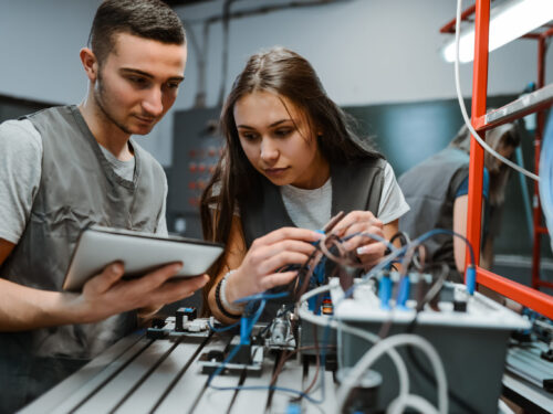 iStock 1867285878 scaled 500x375 - Graduate Opportunities